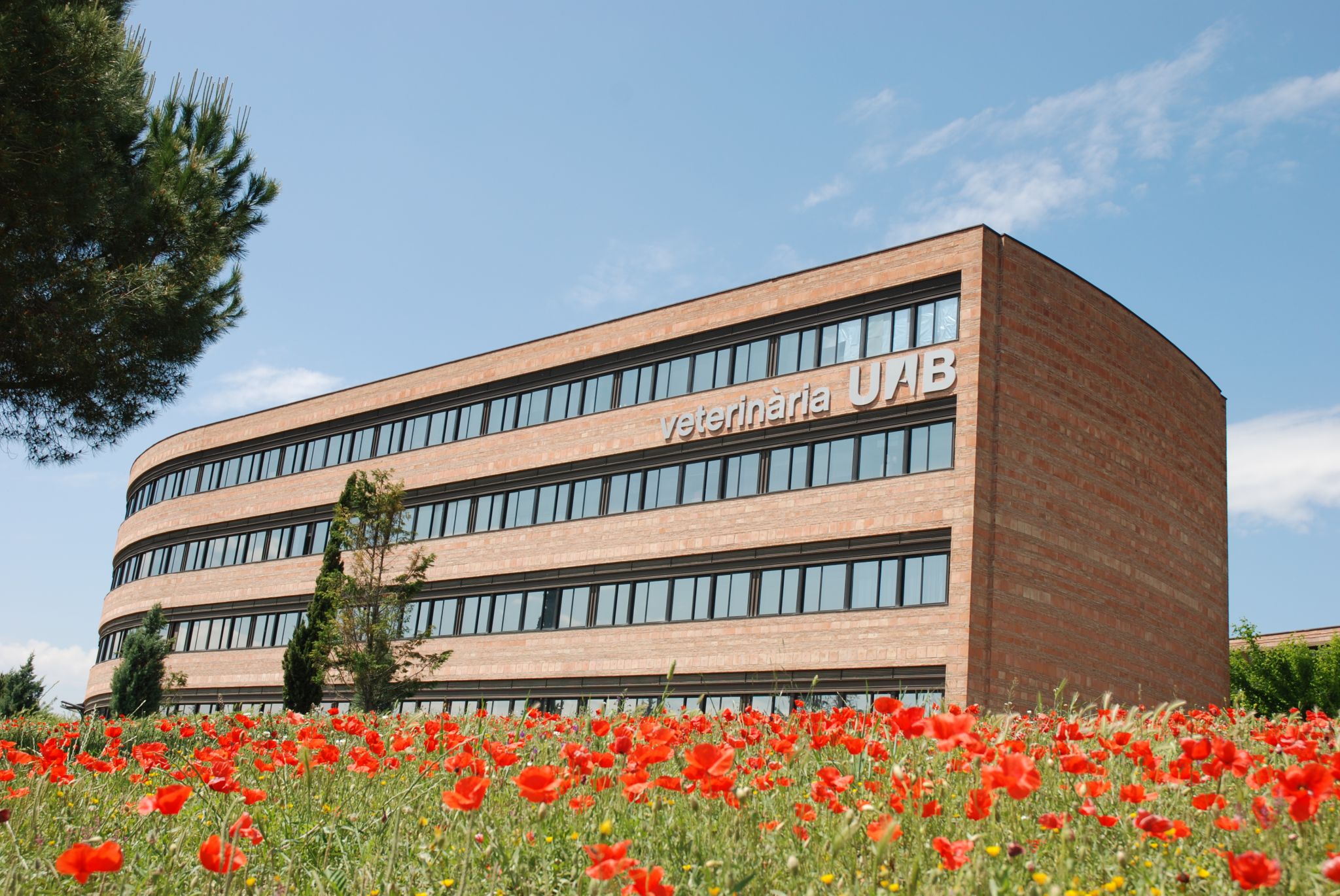 Universitat Autònoma de Barcelona (UAB) (Cerdanyola del Valles, Spain) apply, prices, reviews