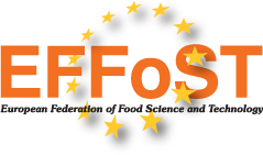 logo EFFOST